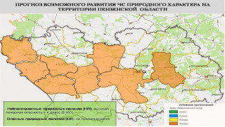 В Пензе и 7 районах прогнозируется высокая пожароопасность