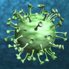 За сутки в Пензенской области подтверждено 116 новых случаев коронавируса