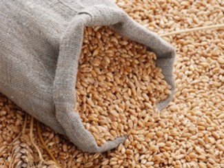 В Пензенской области рецидивист украл 60 килограммов зерна
