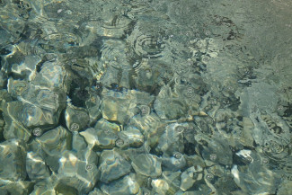 В Пензе из водоема извлекли тело школьника