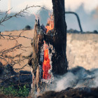 За сутки в Пензенской области зафиксировано семь пожаров