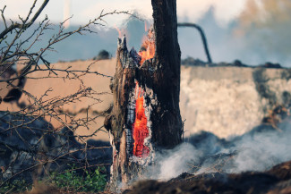 За сутки в Пензенской области зафиксировано семь пожаров
