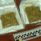 У жительницы Пензенской области нашли около 37 граммов запрещенного вещества