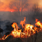 За сутки в Пензенской области зафиксировано пять пожаров
