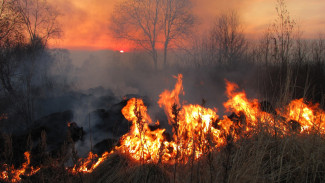 За сутки в Пензенской области зафиксировано пять пожаров