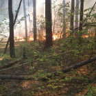 За сутки в Пензенской области зафиксировано десять пожаров