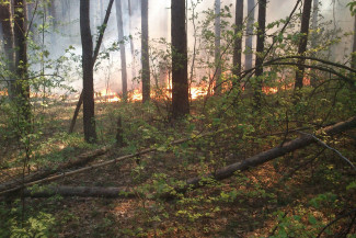 За сутки в Пензенской области зафиксировано десять пожаров