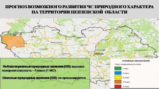 В одном из районов Пензенской области ожидается высокая пожароопасность