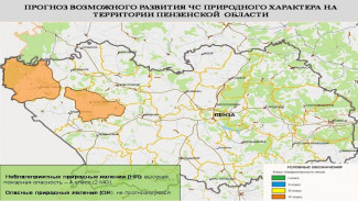 В двух районах Пензенской области ожидается высокая пожароопасность