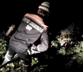 «Шаг в пропасть». Житель Пензы упал в 4-метровый овраг с мусором