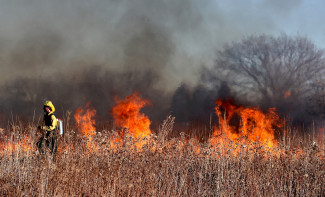 За сутки в Пензенской области зафиксировано 9 пожаров