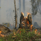 В 4 районах Пензенской области ожидается высокая пожароопасность