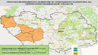 В четырех районах Пензенской области ожидается высокая пожароопасность