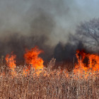 В Пензенской области за сутки зафиксировано три пожара
