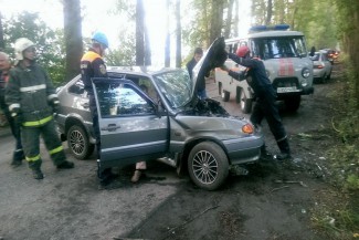 В социальных сетях появились фотографии с места ДТП в Богословке, где водителя зажало деревом