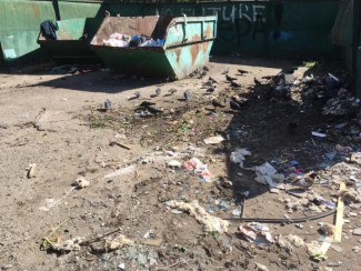 В Октябрьском районе Пензы ликвидировали две свалки