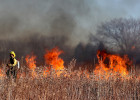 В Пензенской области за сутки зафиксировано шесть пожаров