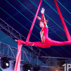 Все любят цирк! Фестиваль “Территория чудес” прошел в Пензе на площадке ЖК “Лугометрия”
