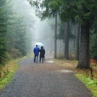 Пензенцев предупреждают о дожде и тумане 22 сентября