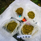 У жителя Пензенской области изъяли четыре пакета с травкой