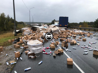 Установлена личность мужчины, погибшего в аварии в Пензенской области