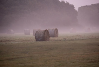 2 октября Пензенскую область накроет густой туман