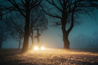 Жителей Пензенской области ожидает ночной и утренний туман 