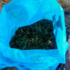 У жителя Пензенской области нашли около 400 граммов наркотика