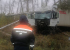 В Пензенской области разбился большеруз: на месте работали спасатели. ФОТО