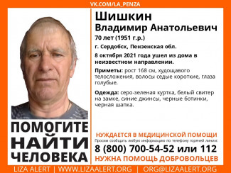 В Пензенской области ищут пропавшего 70-летнего пенсионера 