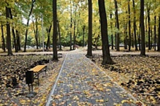 В Пензе на несколько дней закроют Олимпийскую аллею