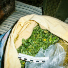 При обыске у жителя Лунинского района полицейскими были обнаружены мешок и сумка с наркотическим средством