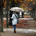 22 октября в Пензенской области будет дождливо и ветрено