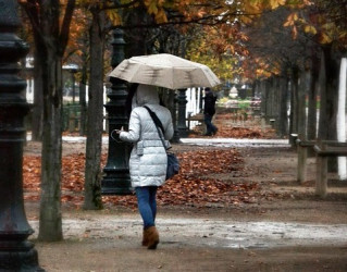 22 октября в Пензенской области будет дождливо и ветрено