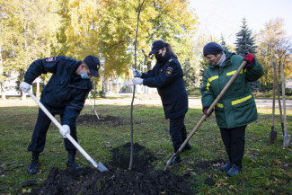 Пензенские полицейские и общественники высадили деревья в Октябрьском сквере