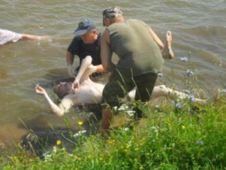 СМИ: мужчина, утонувший в Каменке был в состоянии алкогольного опьянения