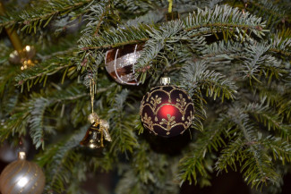 Стало известно, когда в Пензе установят главную новогоднюю елку