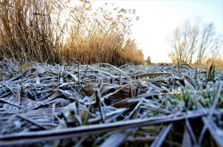 Завтра в Пензенской области ожидается похолодание