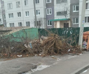 С трех улиц Пензы убрали несанкционированные навалы мусора
