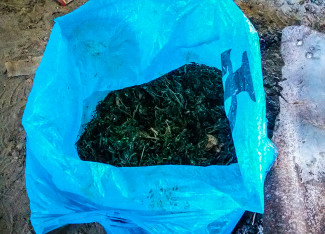 В Пензенской области у 35-летней женщины нашли около килограмма марихуаны