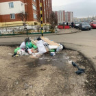 В Пензе ликвидировали еще четыре мусорные свалки