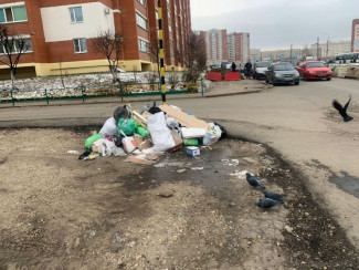 В Пензе ликвидировали еще четыре мусорные свалки