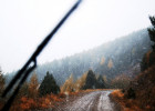 Снег, дождь и сильный ветер ожидаются в Пензенской области 8 декабря