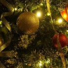 «Странное Рождество». Жительницу Пензы обманули при покупке елки