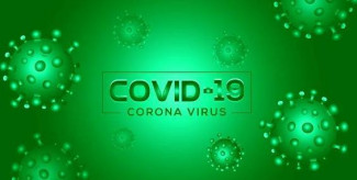 За сутки в Пензенской области выявлено 350 случаев коронавируса