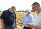 В Пензенской области на поддержку аграриев направят более 330 млн рублей