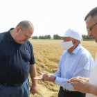 В Пензенской области на поддержку аграриев направят более 330 млн рублей