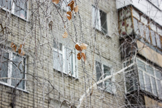 Какая погода ожидается в Пензенской области 13 декабря?