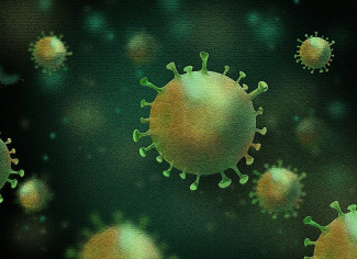 За сутки в Пензенской области выявлено 344 случая коронавируса
