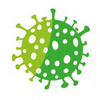 За сутки в Пензенской области выявлено 325 случаев коронавируса
